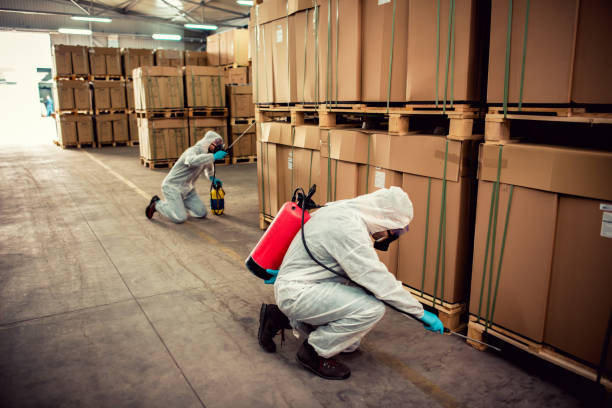 Best Rat Extermination Near Me  in Geneva, IN