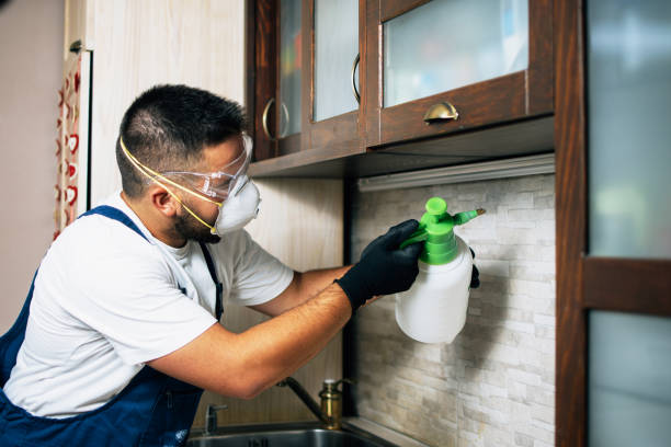 Best Local Pest Control Services  in Geneva, IN