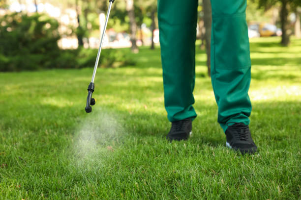 Best Termite Control Services  in Geneva, IN