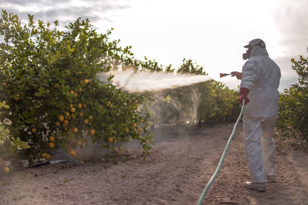 Best Affordable Pest Control Services  in Geneva, IN