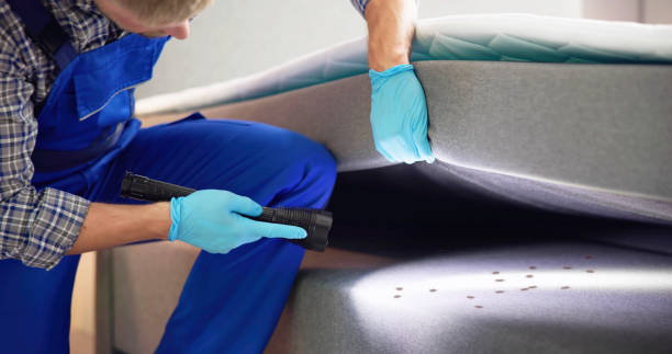 Best Bed Bug Extermination  in Geneva, IN