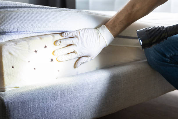 Best Affordable Pest Control Services  in Geneva, IN
