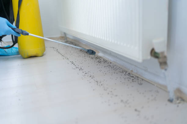 Best Best Pest Control Companies  in Geneva, IN