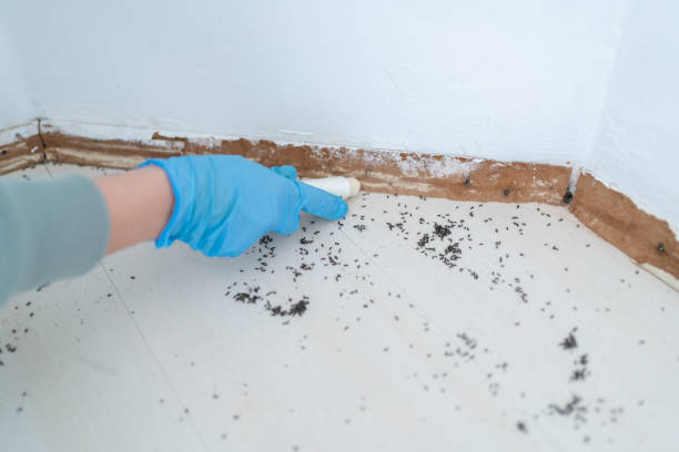 Best Insect Control  in Geneva, IN