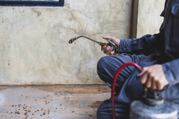 Best Affordable Pest Control Services  in Geneva, IN