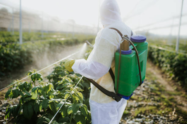 Best Exterminator Services  in Geneva, IN
